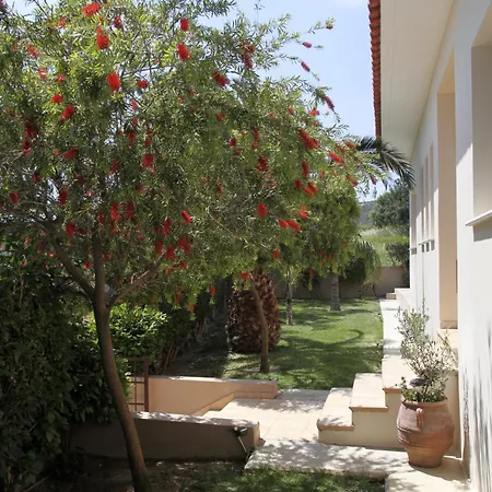 Eve Xιnisteri * Pissouri