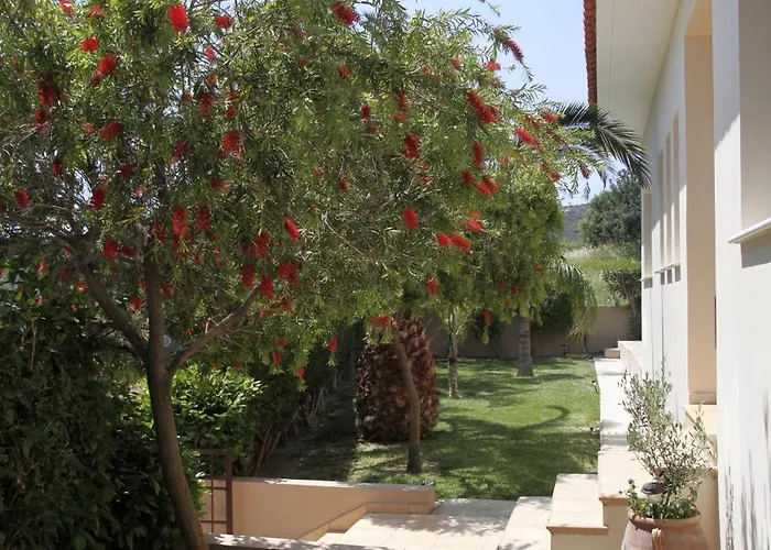 Eve Xιnisteri * Pissouri